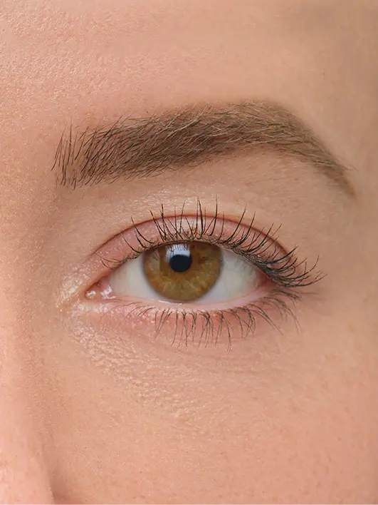 04 Light Brown
