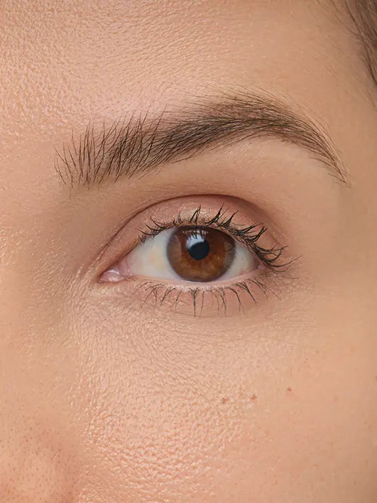 06 Chocolate Brown