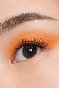 Butterfly Collective